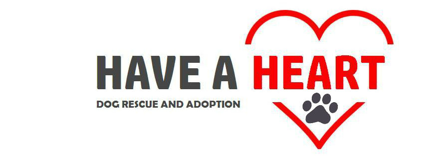 Have A Heart Dog Rescue and Adoption